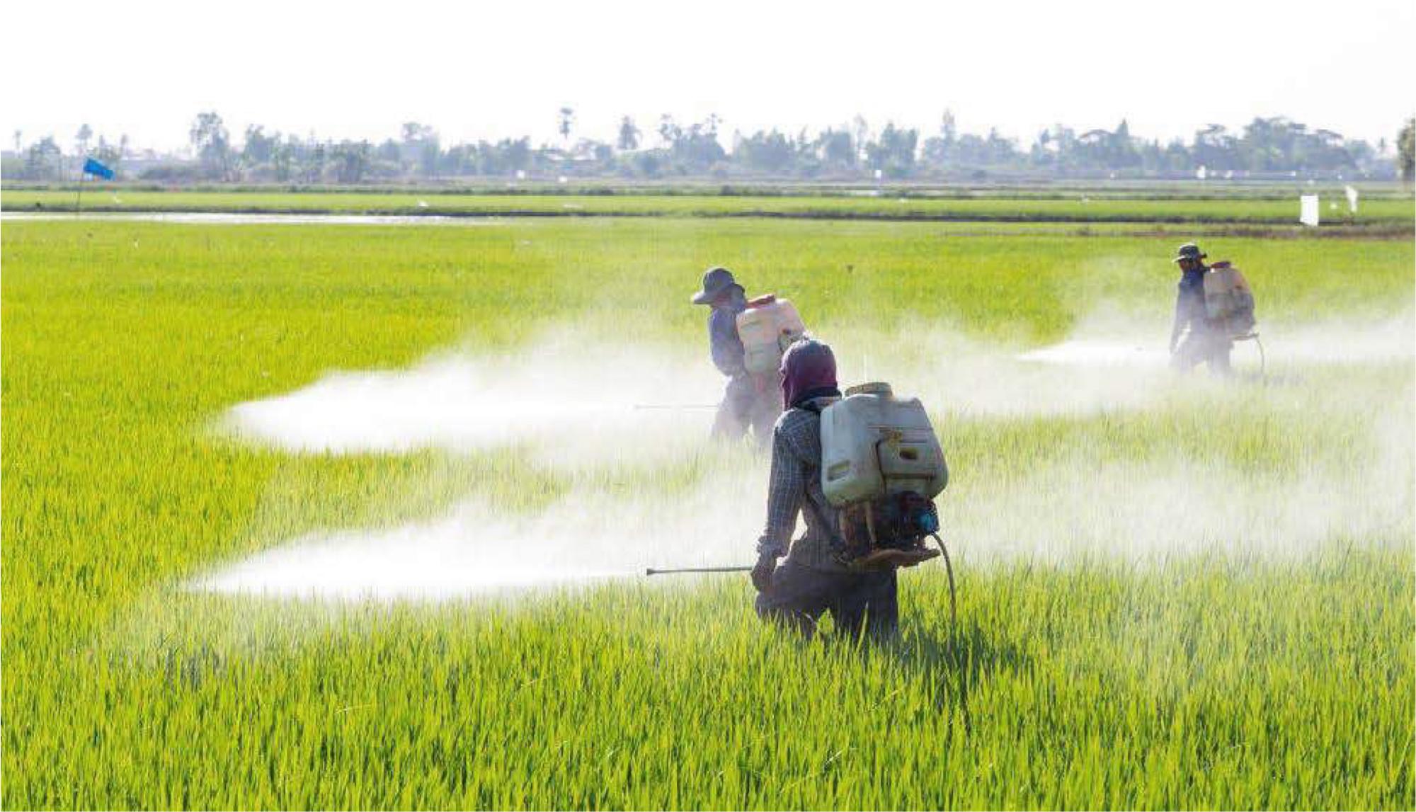 En España el herbicida glifosato se utiliza en la agricultura convencional y para exterminar malas hierbas y arbustos en parques, plazas y aceras en las ciudades.